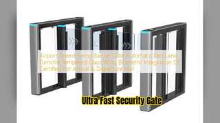 Fast Airport Speed Gate Swing Barrier Turnstile